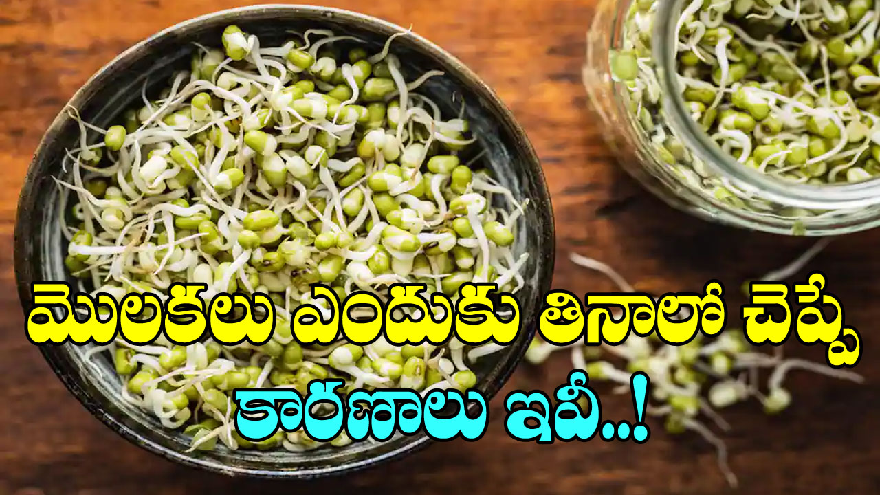 Sprouts: మొలకలు ఎందుకు తినాలో చెప్పే 5 బలమైన కారణాలు  ఇవీ..!