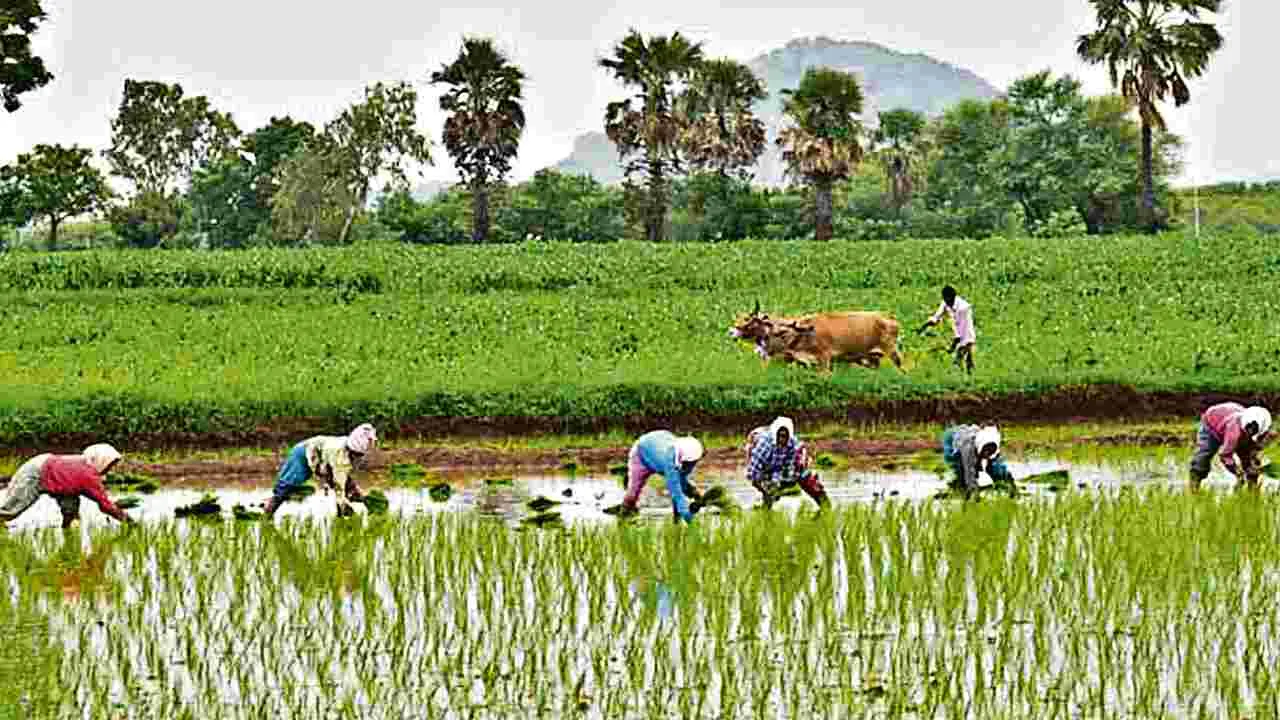 Budget 2024: రైతులకు మరో శుభవార్త.. ఈ బడ్జెట్ సమావేశంలోనే..