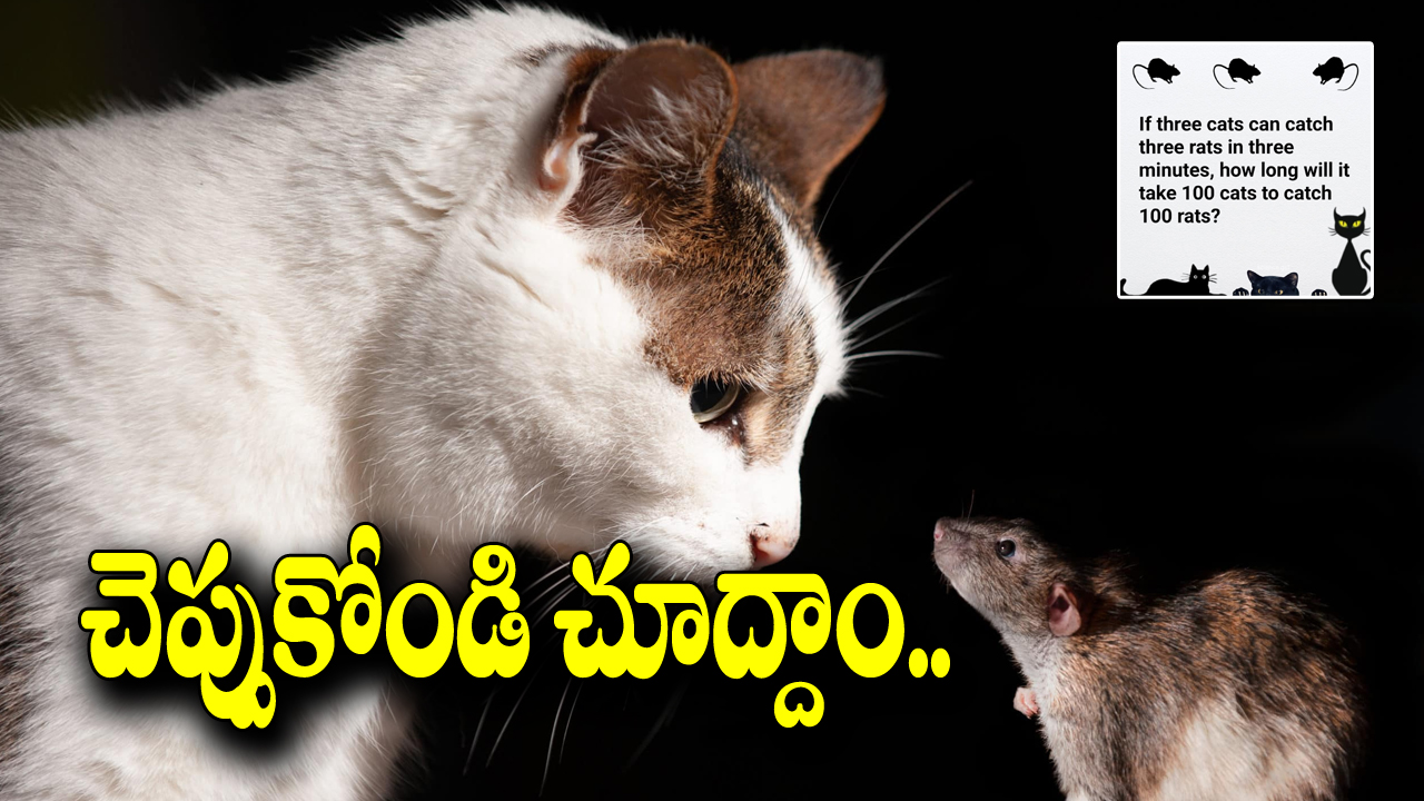 Math Magic Trick: మ్యాజిక్ మ్యాథ్స్.. ఈ చిన్న ప్రశ్నకు ఆన్సర్ చెప్పలేకపోతున్నారు.. మీ వల్ల అవుతుందా?