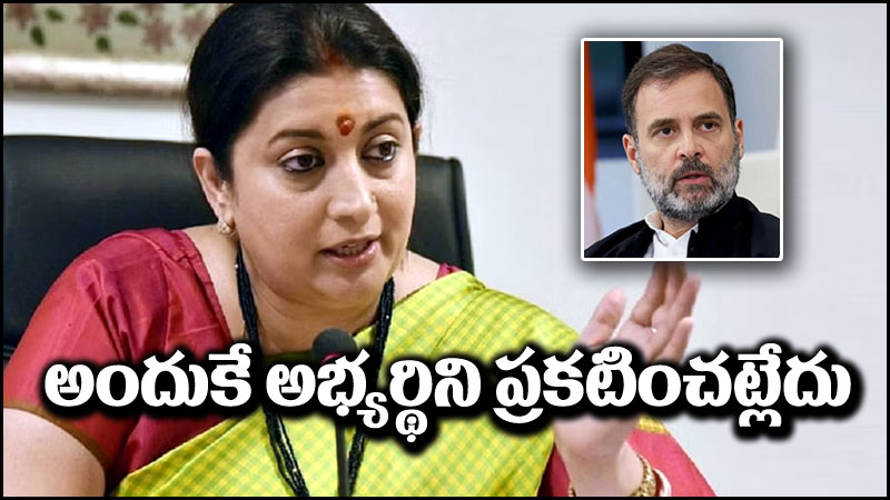 Smriti Irani: అందుకే అభ్యర్థిని ప్రకటించడం లేదు.. కాంగ్రెస్‌పై స్మృతి ఇరానీ చురకలు