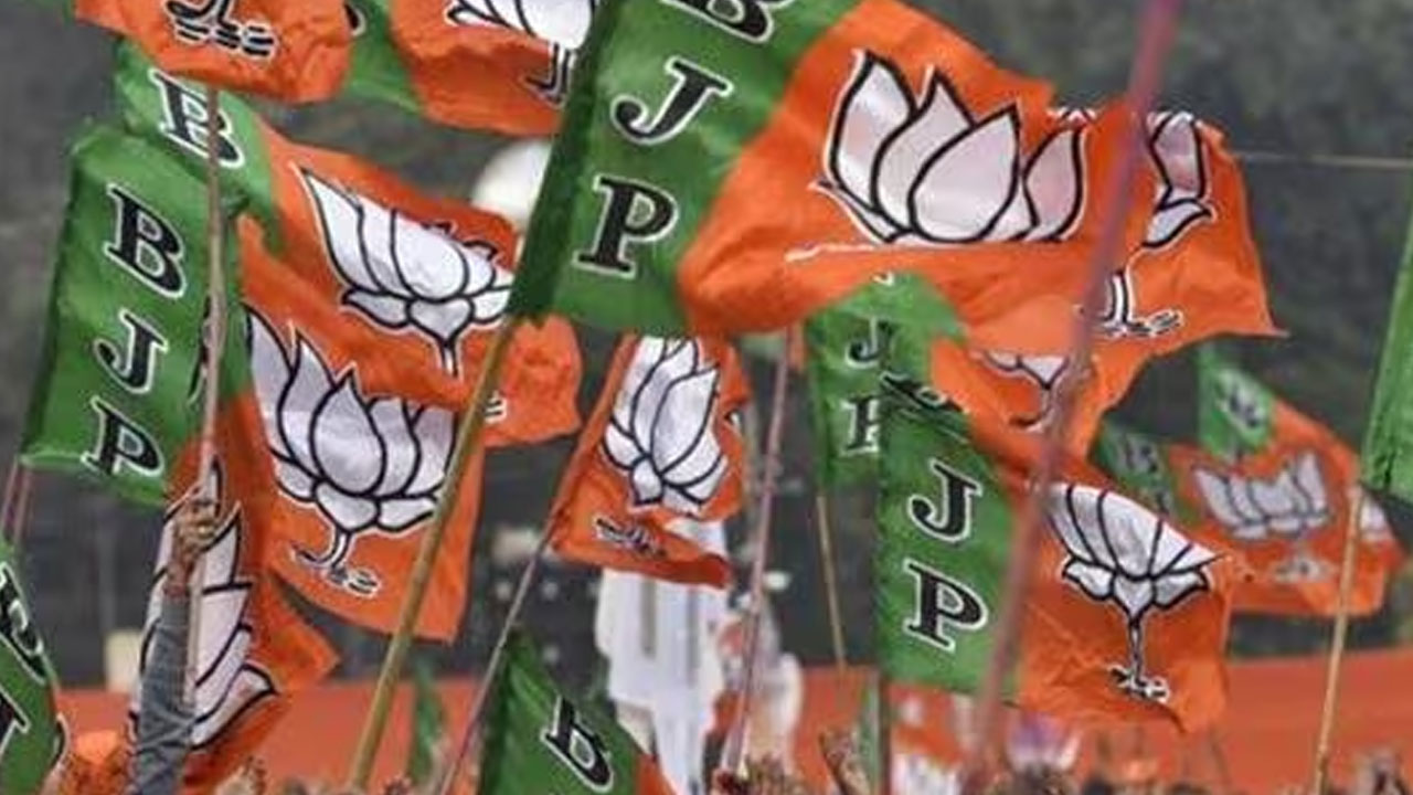 BJP: ఆరాచకవాదులకు అడ్డాగా ఆ పార్టీ.. ఆప్ పై బీజేపీ విసుర్లు 
