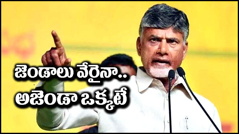 Chandrababu Naidu: మూడు ముక్కలాటతో రాష్ట్రాన్ని భ్రష్టుపట్టించిన వ్యక్తి జగన్‌