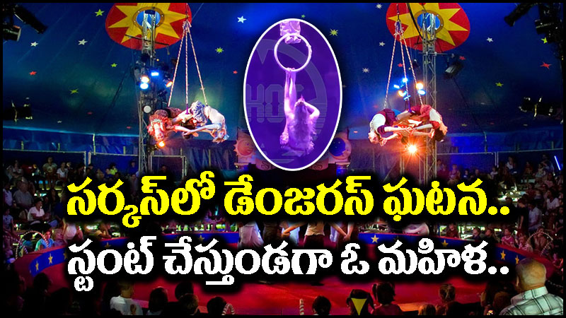 Circus Stunt: సర్కస్‌లో షాకింగ్ ఘటన.. స్టంట్ చేస్తుండగా 12 అడుగుల ఎత్తు నుంచి..