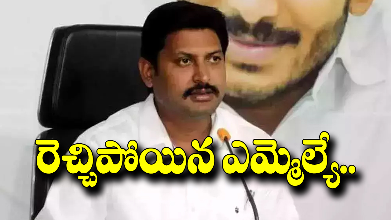 AP Politics: రెచ్చిపోయిన ఎమ్మెల్యే.. కారు ఆపి మరీ వారిపై