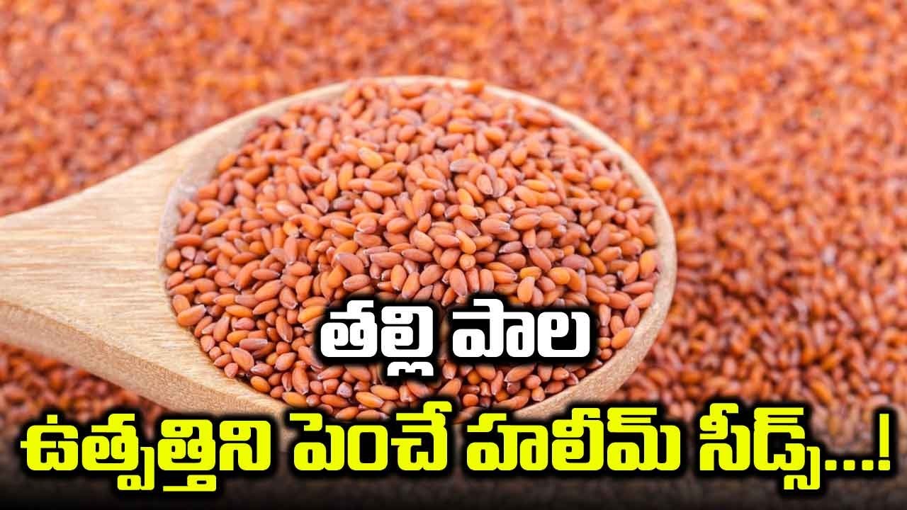 Halim seeds : వీటి గురించి ఎప్పుడైనా విన్నారా? ఇవి బరువు తగ్గిస్తాయని తెలుసా..!