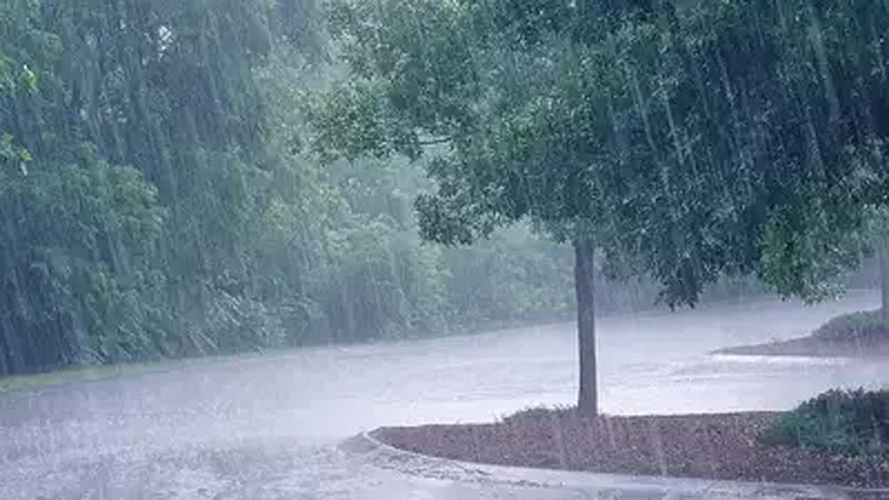 Rains: 20, 21 తేదీల్లో మోస్తరు వర్షాలు.. 