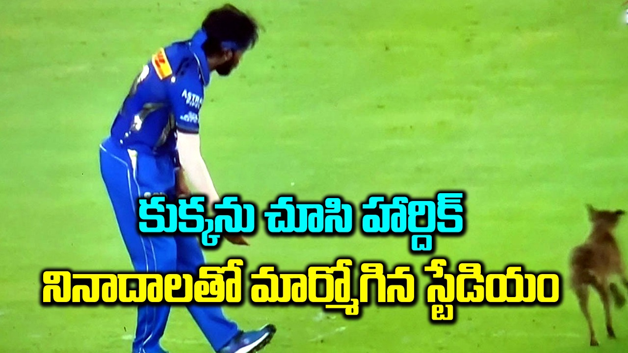 IPL 2024: హార్దిక్‌ను కుక్కతో పోల్చిన అభిమానులు.. క్రికెట్ ప్రపంచమంతా రోహిత్ వైపే!