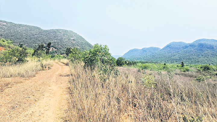 వైసీపీ నేతలకు రామవరం లేఅవుట్‌!?