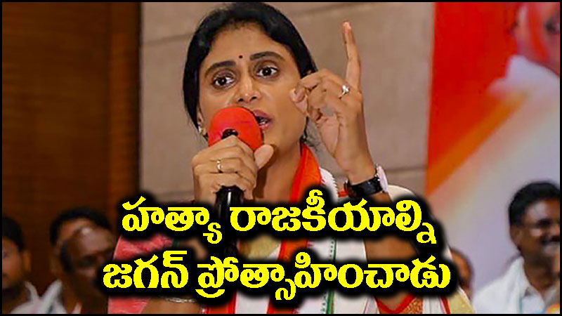 YS Sharmila: సీఎం జగన్ నా అనుకున్న వాళ్లందరినీ నాశనం చేశాడు.. వైఎస్ షర్మిల సంచలన వ్యాఖ్యలు