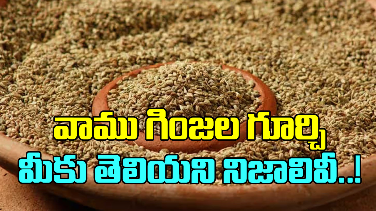 Carom seeds: వాము గింజల వల్ల ఇన్ని బెనిఫిట్స్ ఉంటాయని మీకు తెలుసా? 