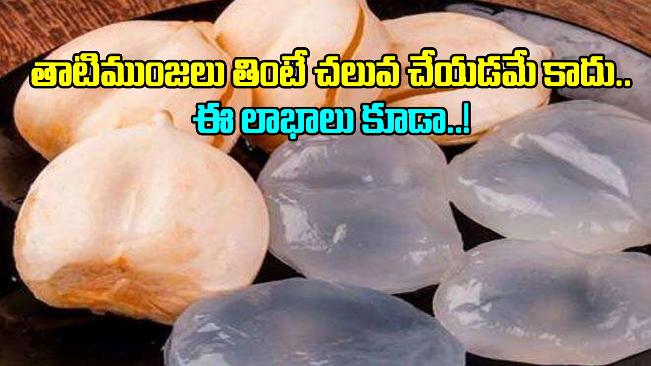 Ice Apple: వేసవిలో ఊరించే తాటిముంజలు చలువ చేయడమే కాదు.. దీంతో ఇంకా ఎన్ని లాభాలంటే..!