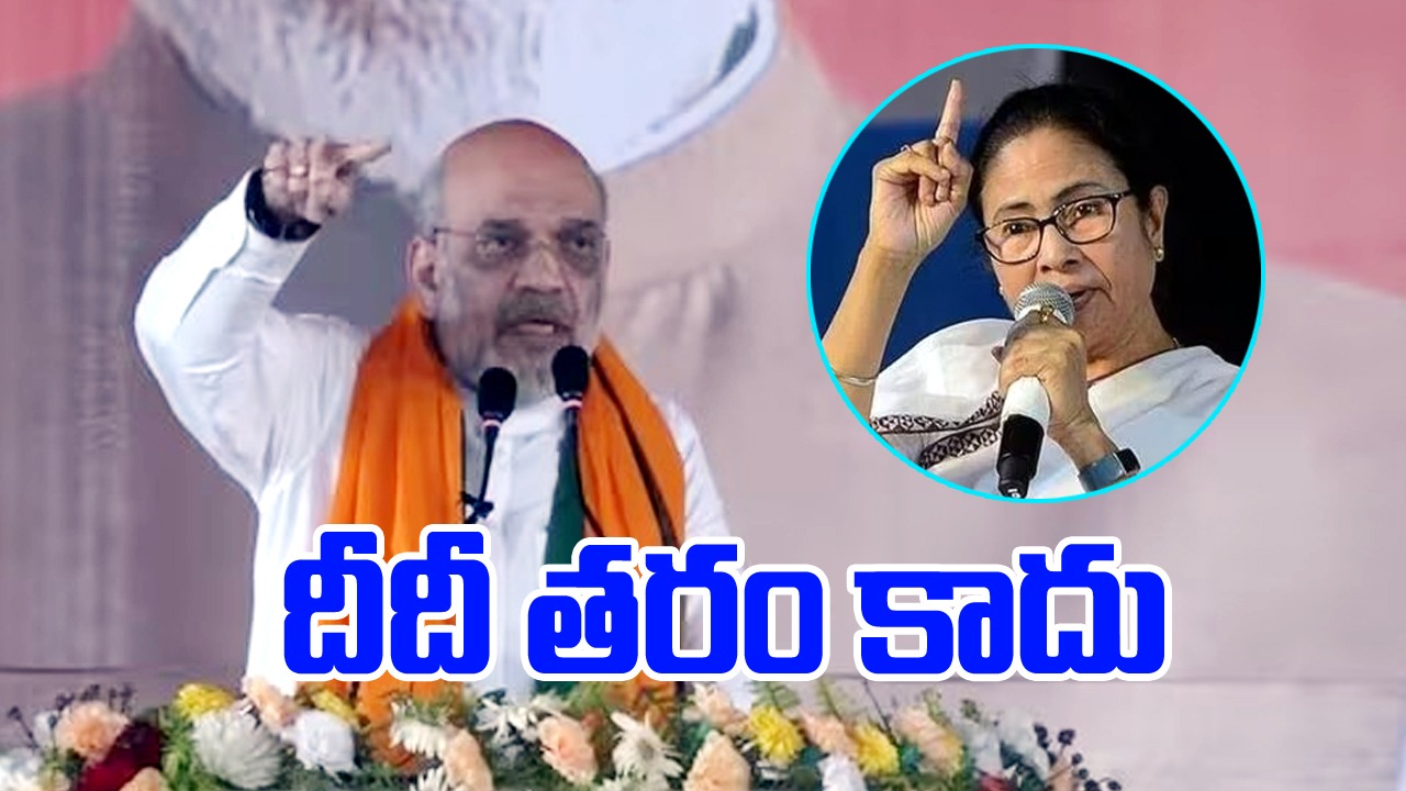 Amit shah: సీఏఏపై తప్పుదారి పట్టిస్తున్న దీదీ... అమిత్‌షా ఆక్షేపణ