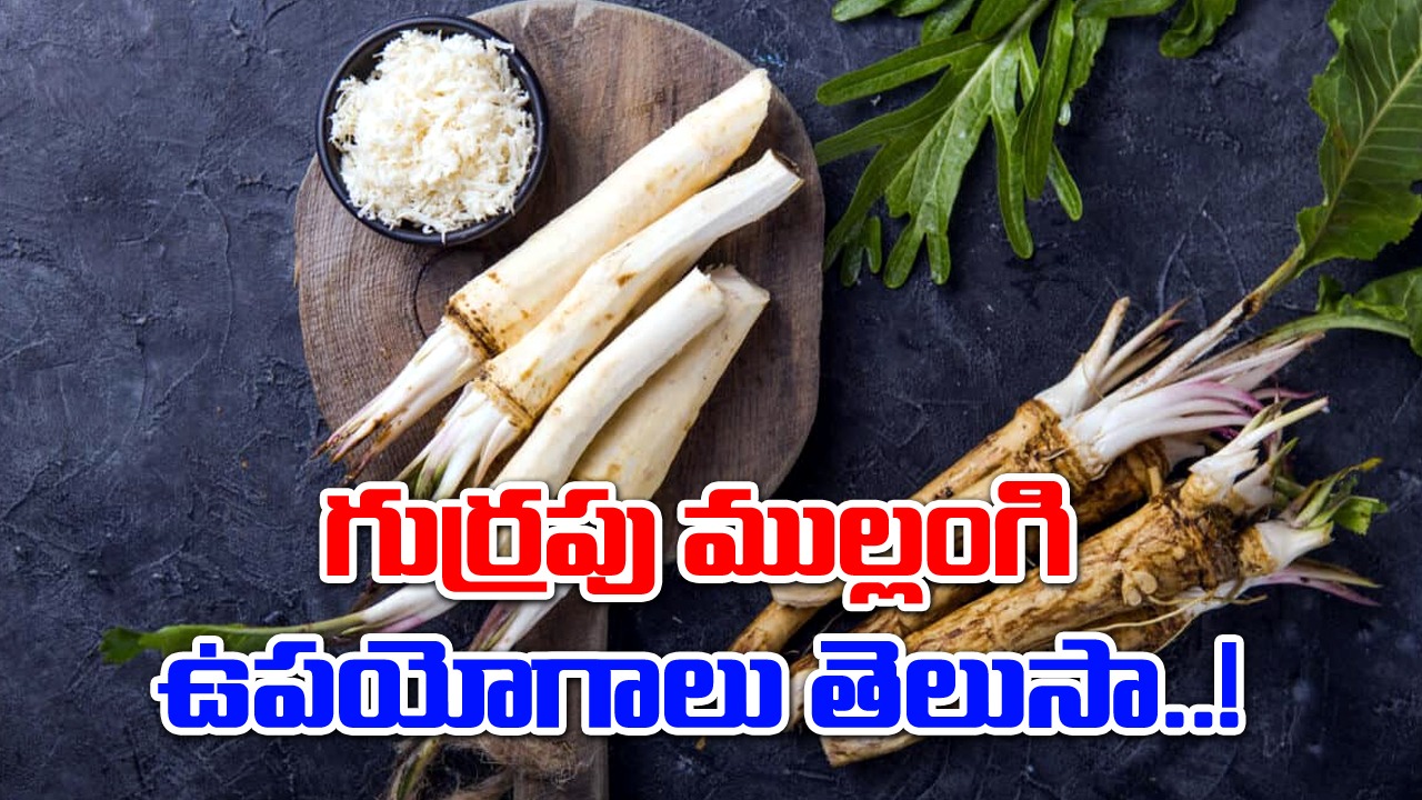 Horseradish : గుర్రపు ముల్లంగితో చాలా బెనిఫిట్స్.. జీర్ణక్రియను పెంచే ఈ కూరగాయతో ఇంకా..