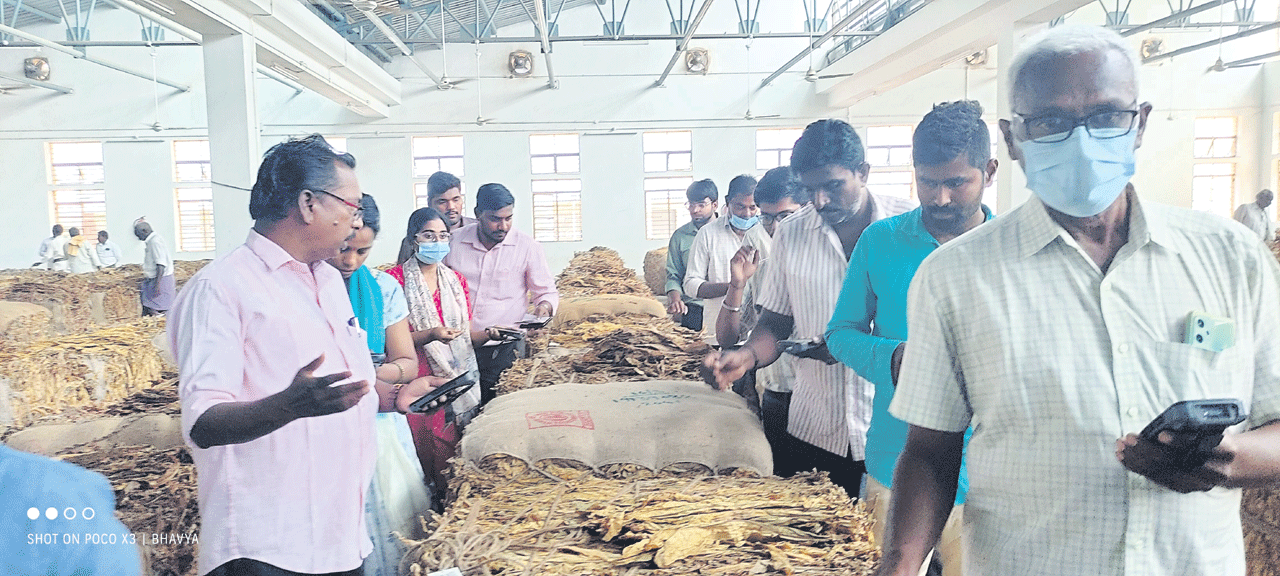 పొగాకు ధరలు పైపైకి..