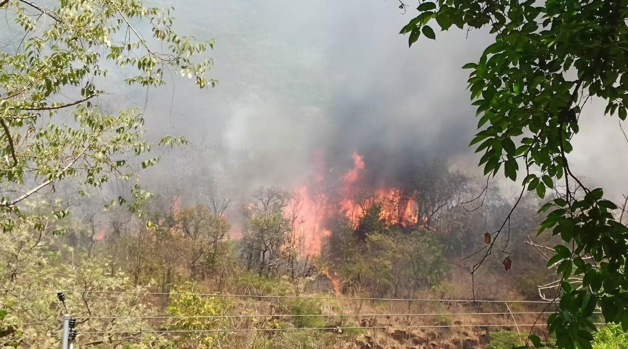 పాపవినాశనం వద్ద అడవిలో మంటలు