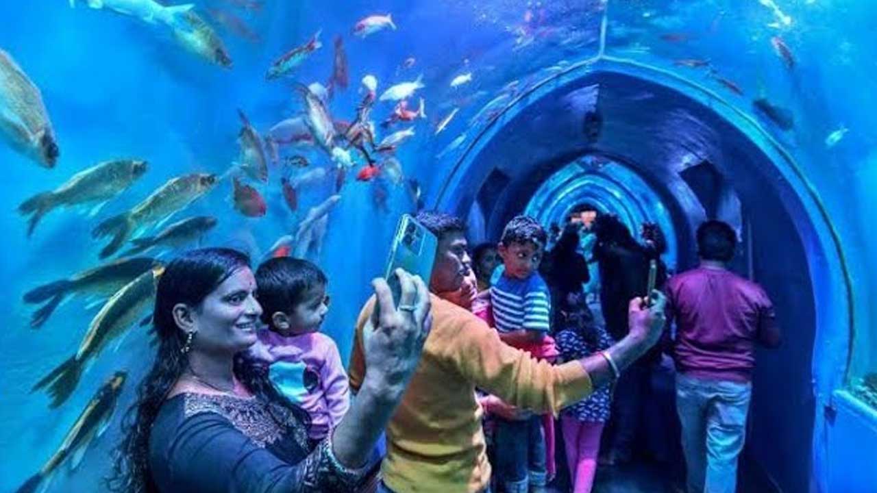 Aqua Tunnel: 600 రకాల చేపలతో అతి పెద్ద ఆక్వా టన్నెల్