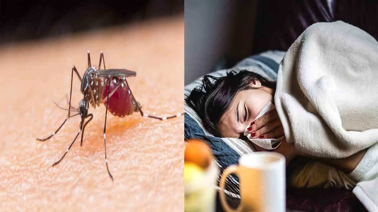 World Malaria Day: మలేరియా వ్యాధిని లైట్ తీసకోకండి.. ఇది వ్యాపించకుండా ఏం చేయాలంటే..!