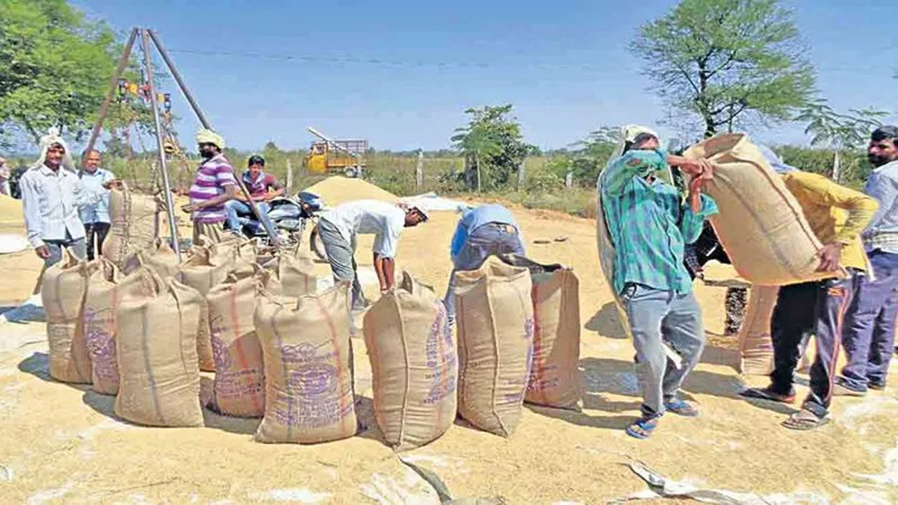 ధాన్యంలో కోతపై అధికారి విచారణ