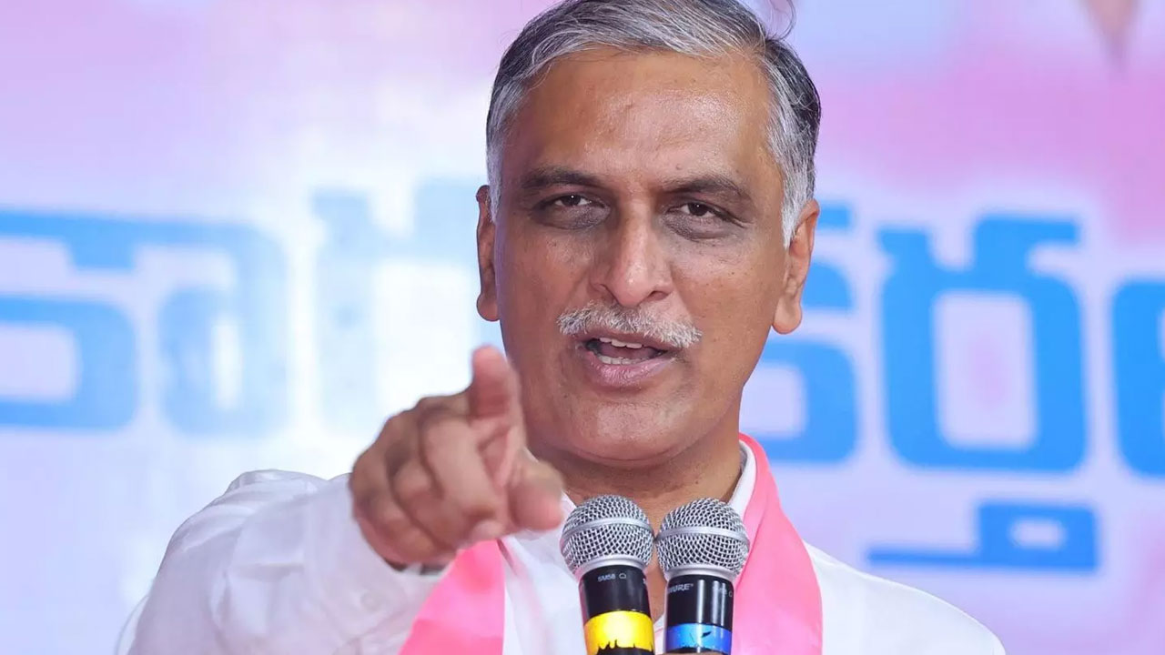 Loksabha polls 2024: వెంకట్రామిరెడ్డిపై దుష్ప్రచారం చేస్తున్నారు.. బీజేపీ అభ్యర్థిపై హరీష్ ఫైర్