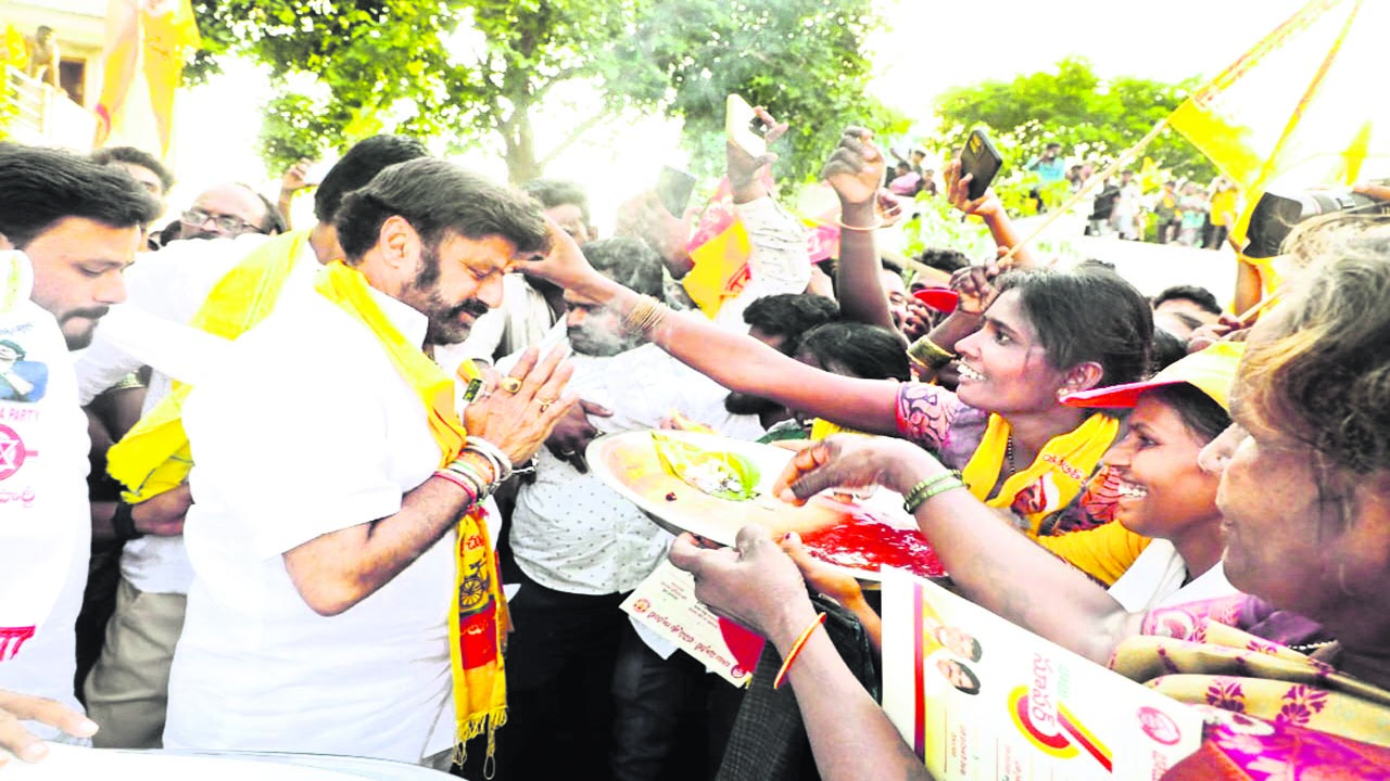 BALAYYA : కబ్జాలు, దందాలకు చెక్‌పెడతా