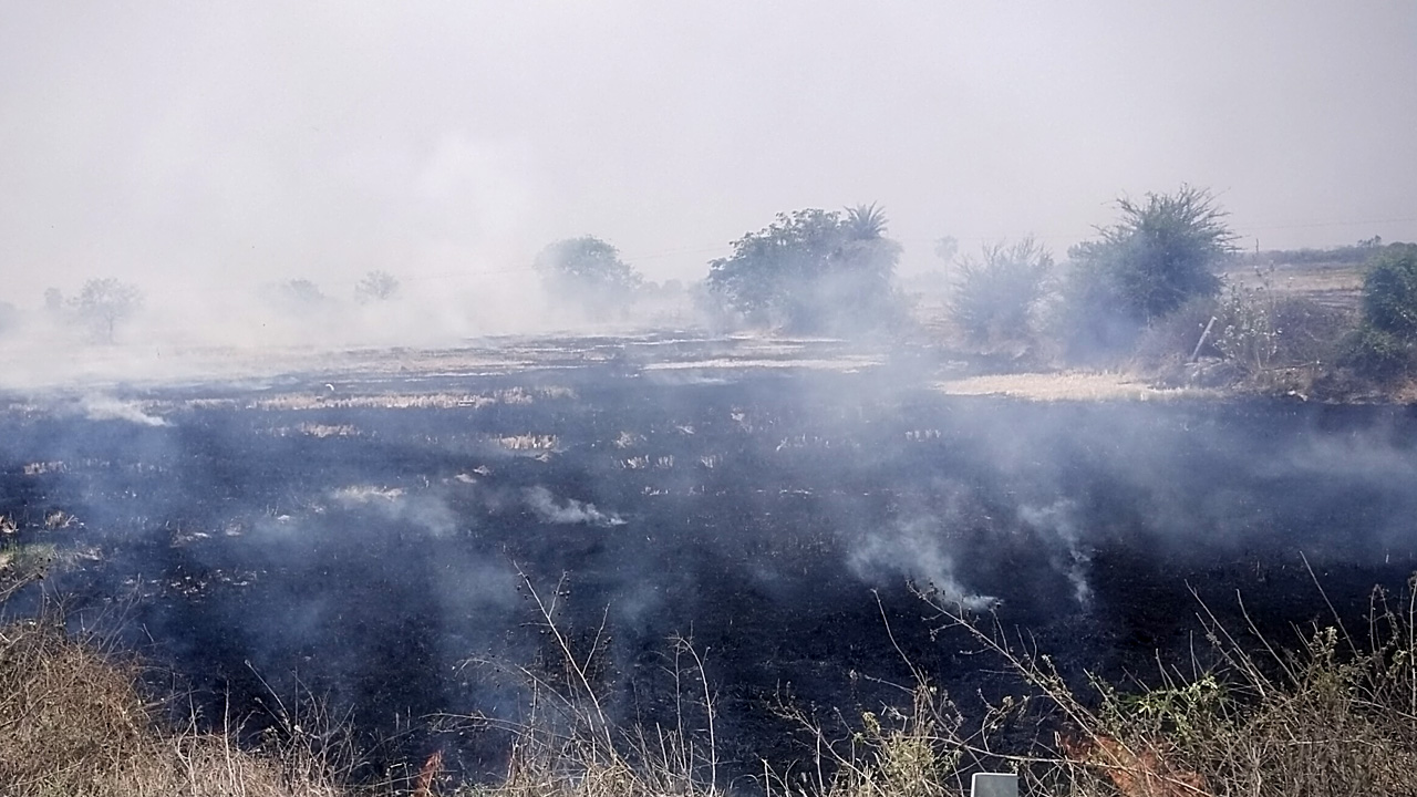 Warangal: వరికొయ్యల మరణ శాసనం..