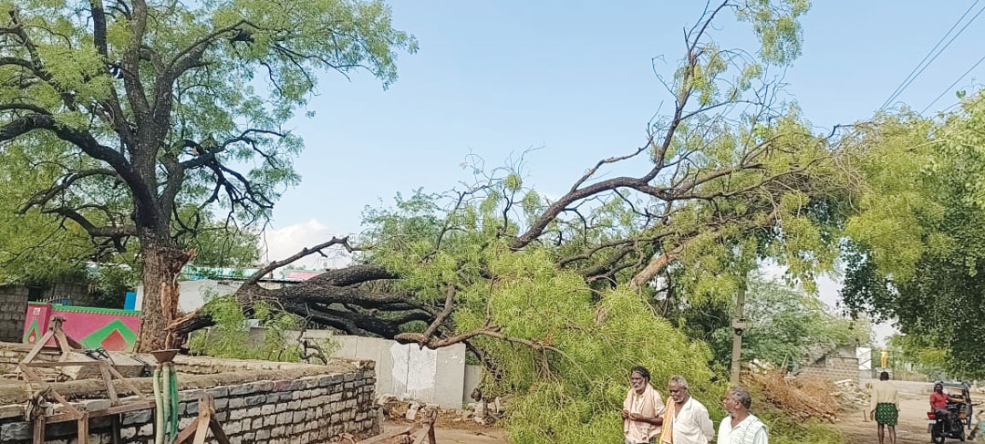 వర్ష బీభత్సం