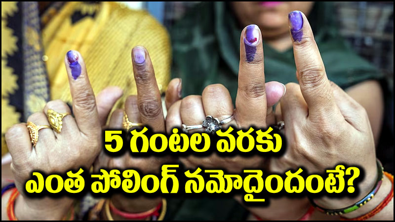 AP Elections 2024: సాయంత్రం 5 గంటల వరకు ఎంత పోలింగ్ నమోదైందంటే?