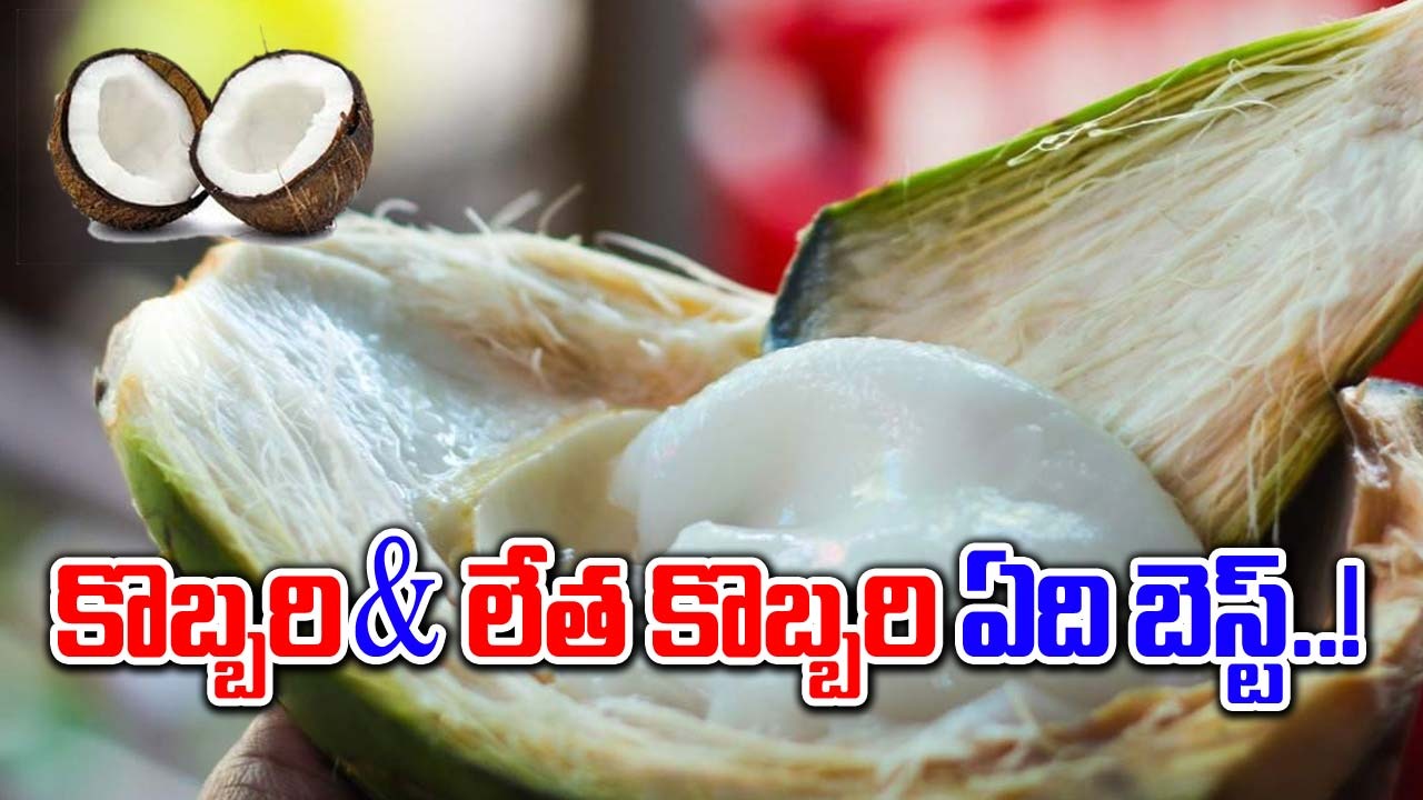 Coconut : లేత బొండం & కొబ్బరి కాయకు మధ్య తేడా ఏంటి.. ఏది బలం.. !