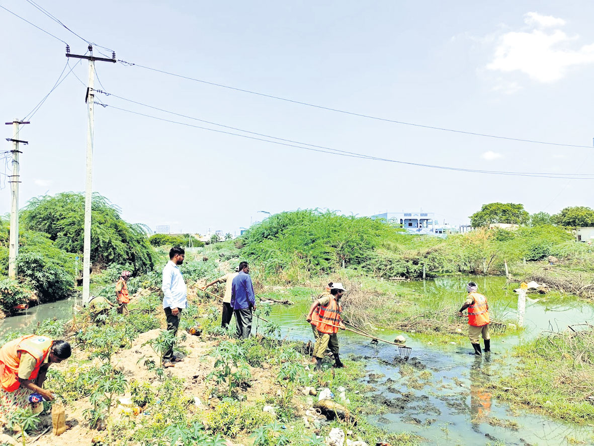 కాలనీల్లో మురుగునీరు తొలగింపు