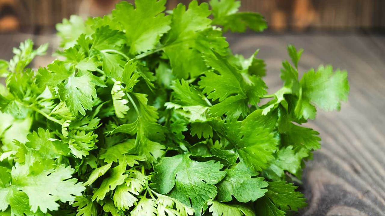 Coriander Free: ఓ తల్లి సూచన.. కొత్తిమీర ఫ్రీ అంటూ బ్లింకిట్ సంస్థ ప్రకటన