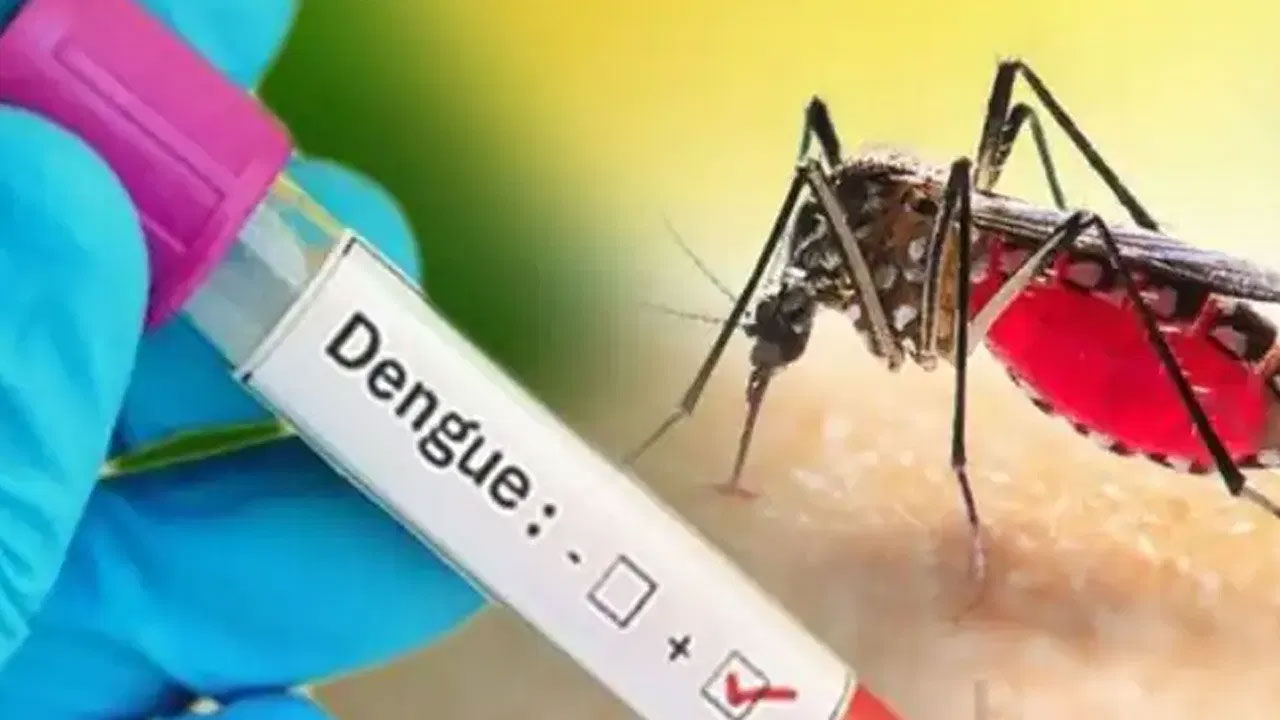 Dengue: తమిళనాడులో విజృంభిస్తున్న డెంగ్యూ..
