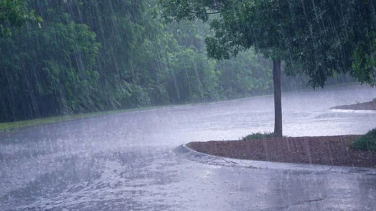 Heavy rains: మరో మూడు రోజులు భారీ వర్ష సూచన