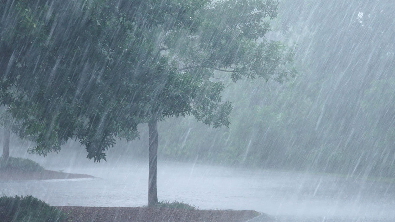 Heavy Rains: బెజవాడలో ఎడతెరపిలేని వాన..