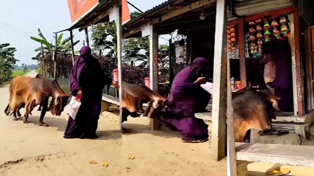 Viral Video: ముసుగు ధరించి వెళ్తున్న మహిళను వెంబడించిన ఎద్దు.. చివరకు ట్విస్ట్ ఏంటో తెలిస్తే.. 