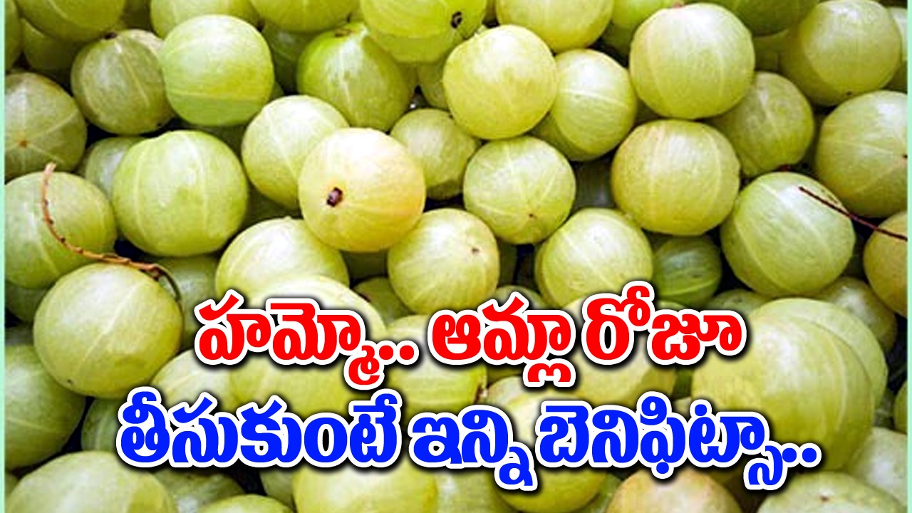 Eat One Amla Daily : ప్రతి రోజూ ఒక ఉసిరికాయ తినడం వల్ల కలిగే లాభాలు ఇవే.. 