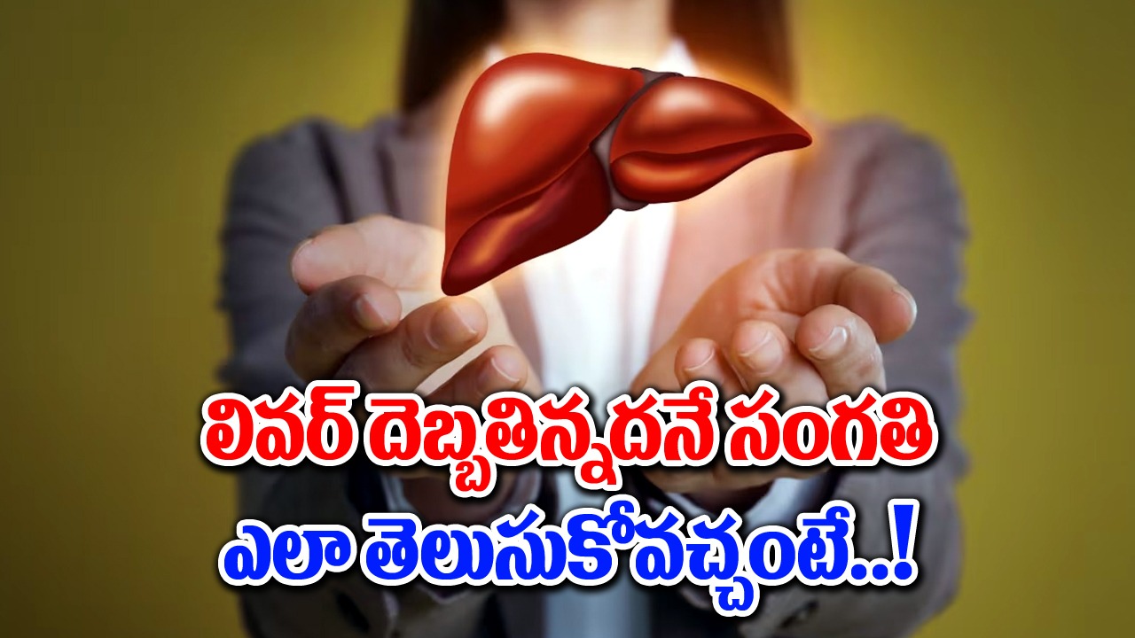 Liver Health : లివర్ అనారోగ్యాన్ని గుర్తించే లక్షణాలు ఇవే.. !