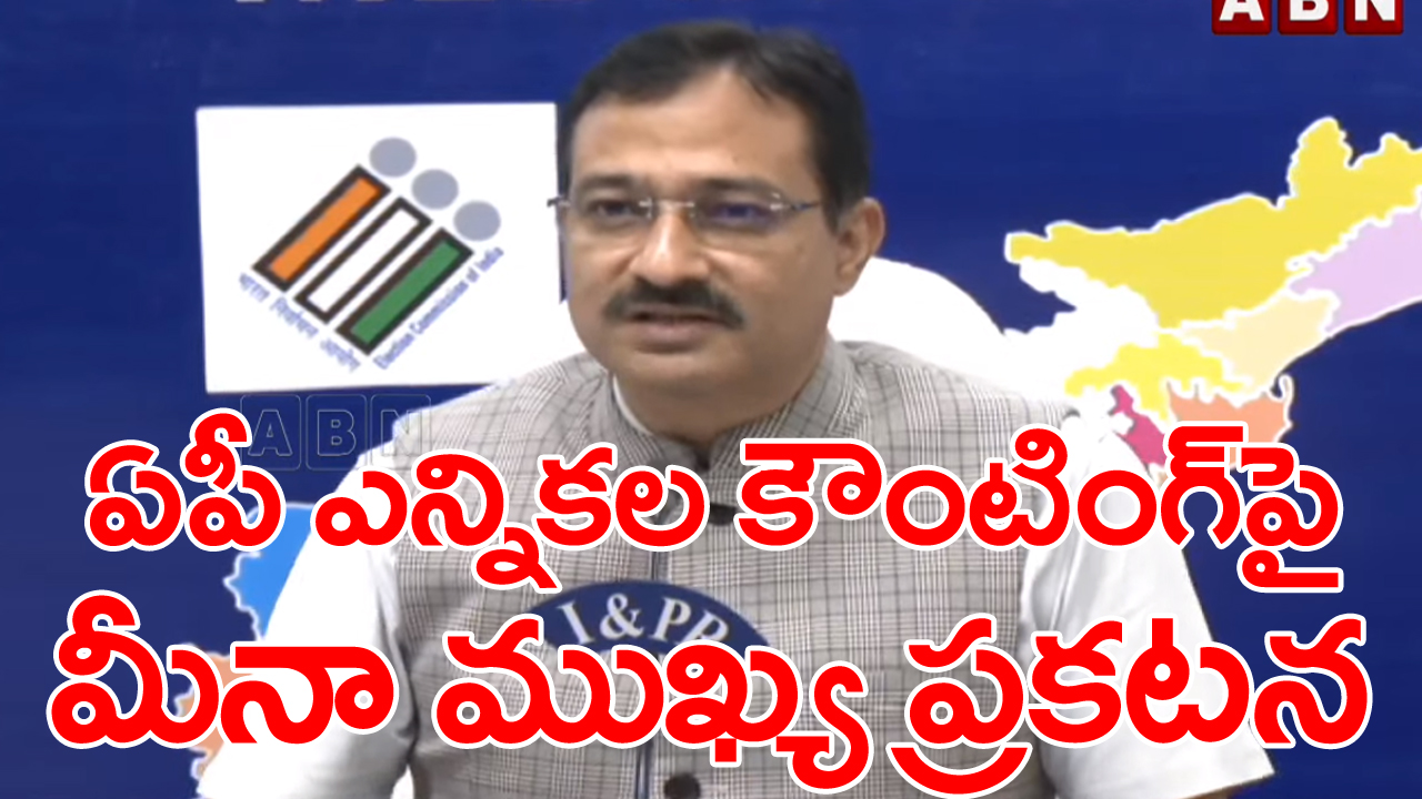 Election Counting: ఏపీ అసెంబ్లీ ఎన్నికల కౌంటింగ్‌‌పై సీఈవో మీనా ఫుల్ క్లారిటీ