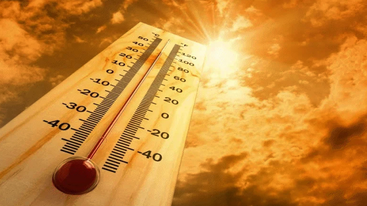 Heat Stroke: హీట్ వేవ్ ఎఫెక్ట్..ఈ ప్రాంతాల్లో 215 మంది మృతి!