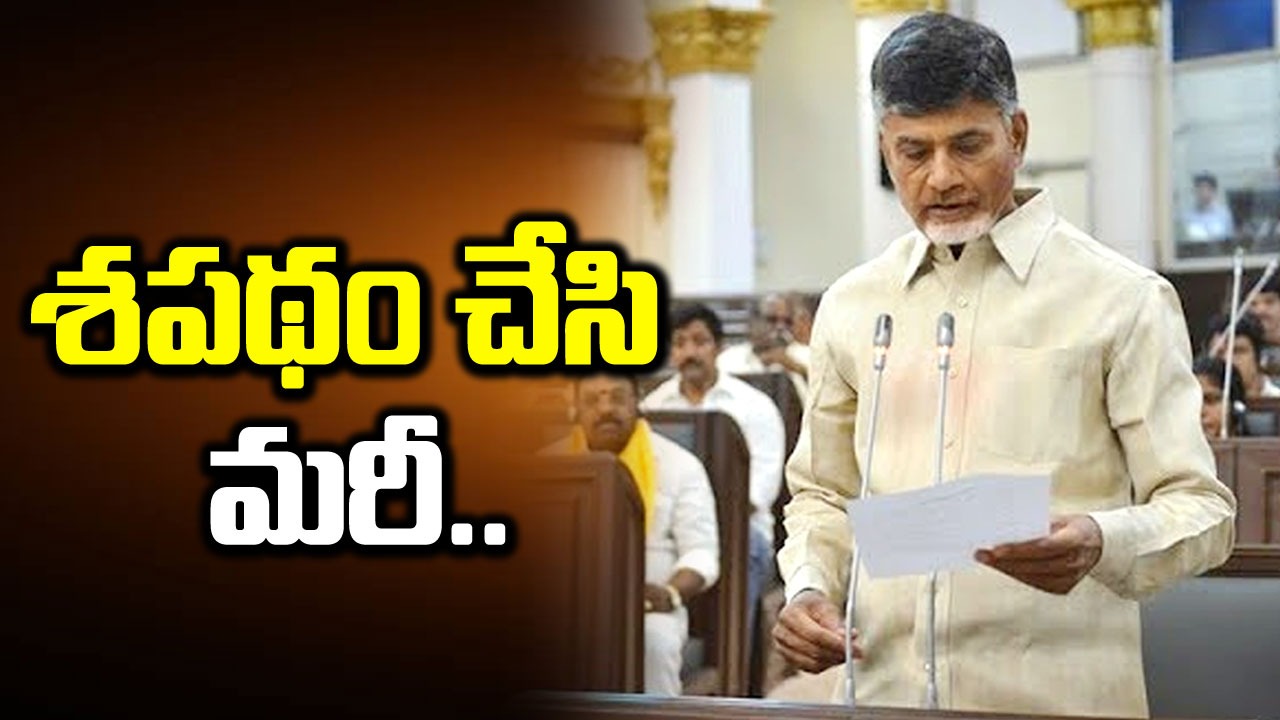 AP Election Results: దటీజ్ లీడర్.. శపథం నెరవేర్చుకున్న చంద్రబాబు.. 