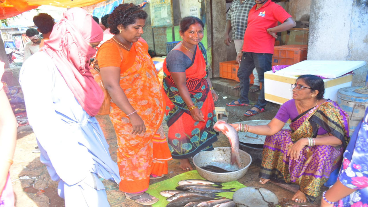 నేటి నుంచి మృగశిర 