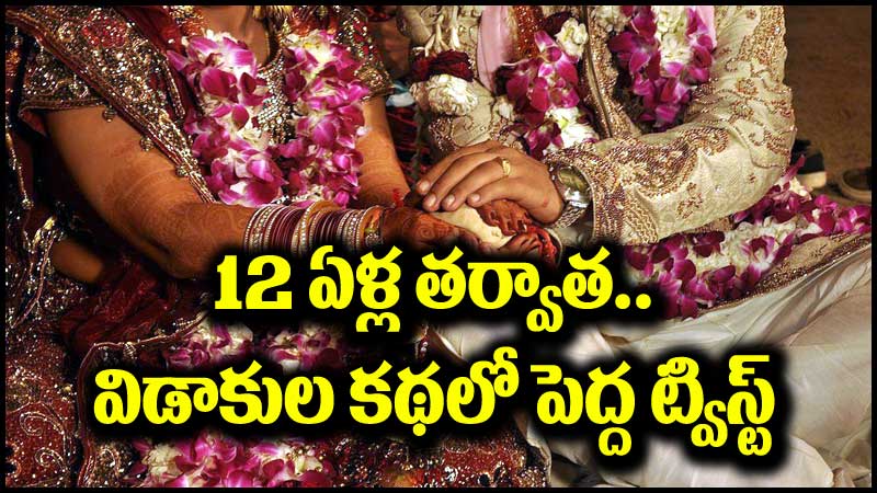 Viral News: విడాకులు తీసుకున్న భార్యాభర్తలు.. 12 ఏళ్ల తర్వాత కథలో దిమ్మతిరిగే ట్విస్ట్