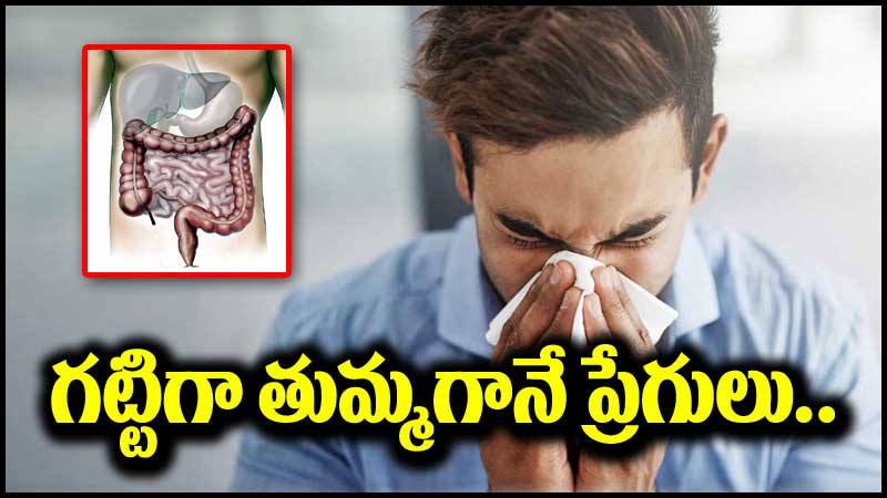 Viral News: షాకింగ్ ఘటన.. రెస్టారెంట్‌లో గట్టిగా తుమ్మాడు.. తీరా చూస్తే ప్రేగులు..