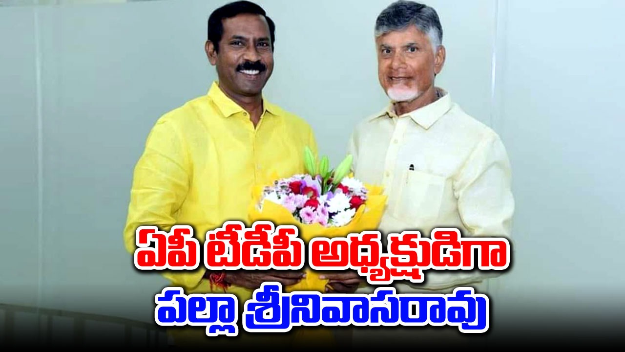 AP TDP: ఏపీ టీడీపీ అధ్యక్షుడిగా పల్లా శ్రీనివాసరావు