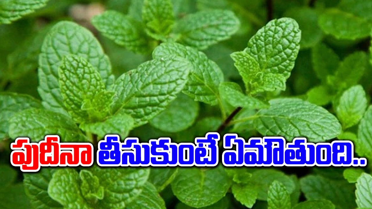 Mint Leaves : పుదీనా ఆకులతో ఆశ్చర్యకరమైన ప్రయోజనాలు ఇవే ..!