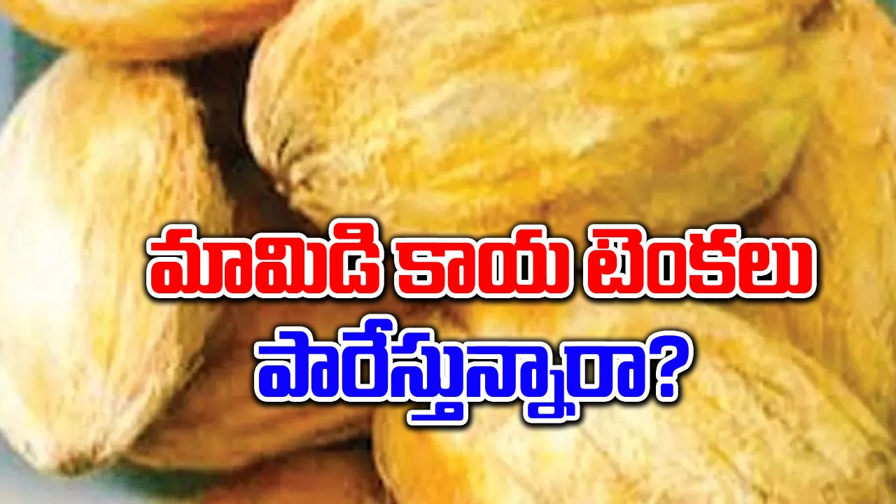 Mango seeds : మామిడి కాయలు తిని టెంకలు పారేస్తున్నారా? వీటితో ఎన్ని లాభాలో తెలుసా..!