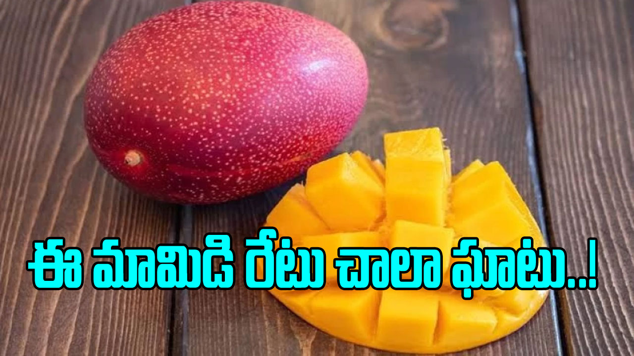 Miyazaki Mango: బాబోయ్.. ఈ మామిడి పండ్లు తినాలంటే  ఆస్తులు అమ్ముకోవాల్సిందే.. కిలో ఎంతంటే..!