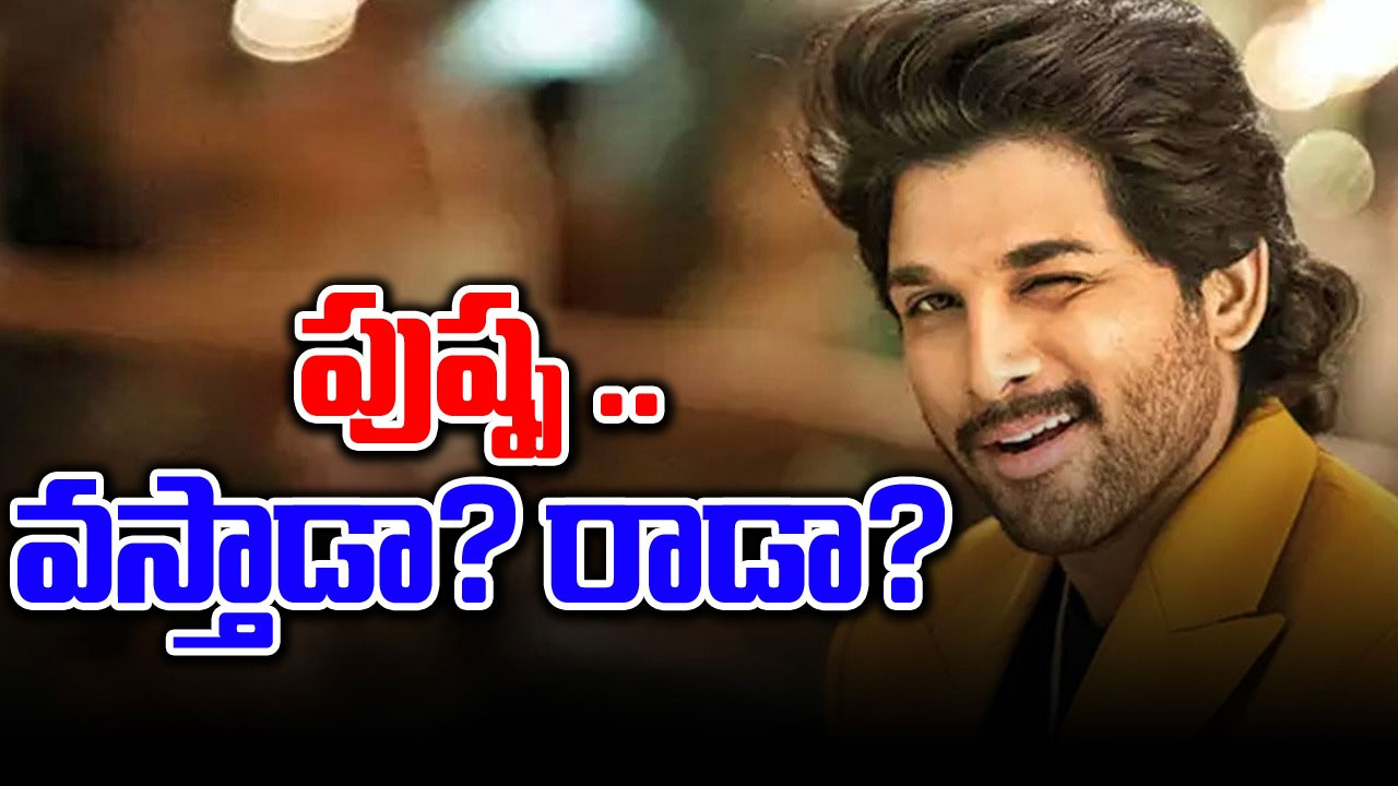 Allu Arjun: పుష్ప వస్తాడా..? రాడా..?