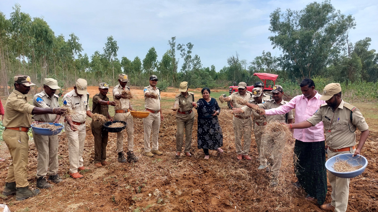 వన్యప్రాణుల కోసం పచ్చిక మైదానాలు 