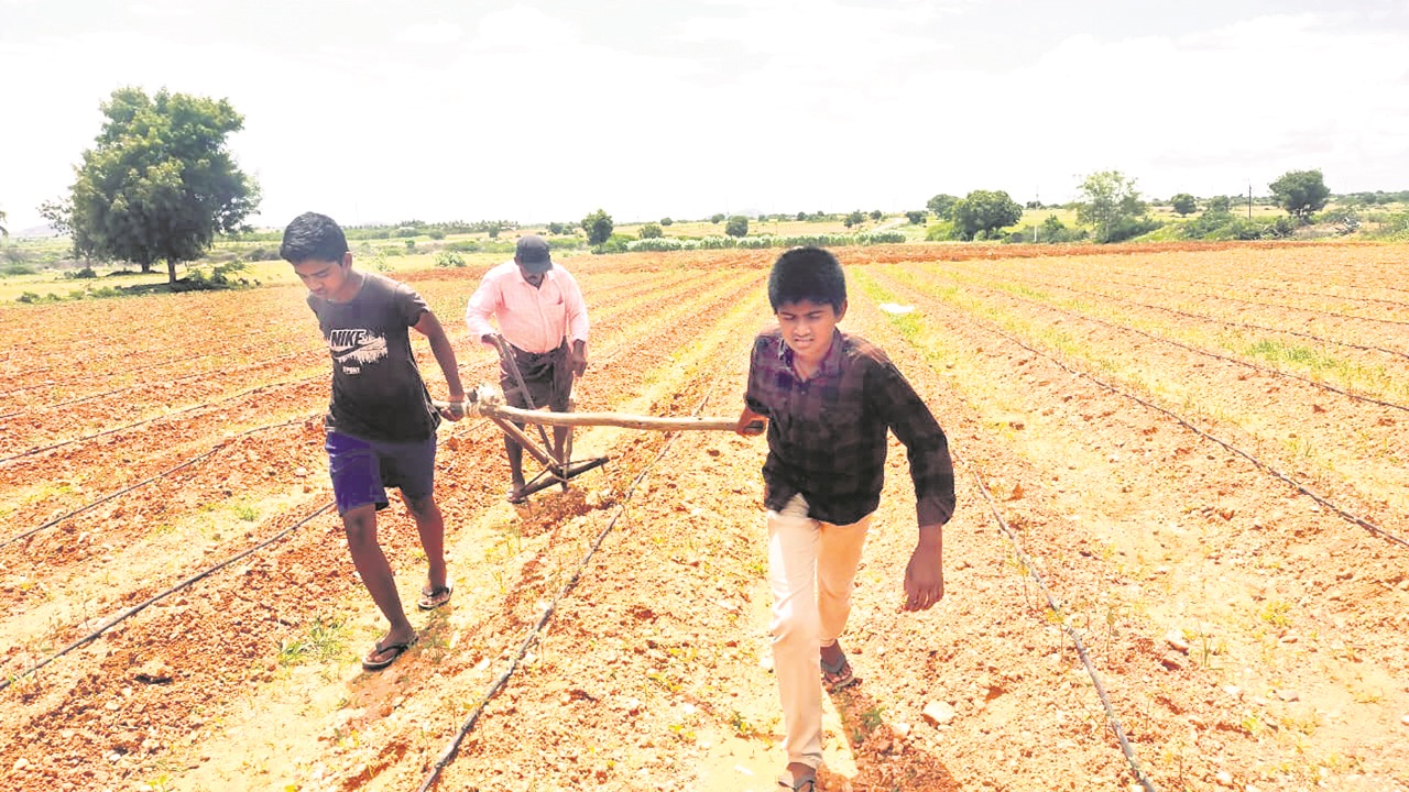 Agriculture : సేద్యం.. యుద్ధం