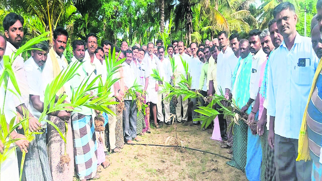 PLANTS : విష సంస్కృతిని విడనాడాలి: గుండుమల